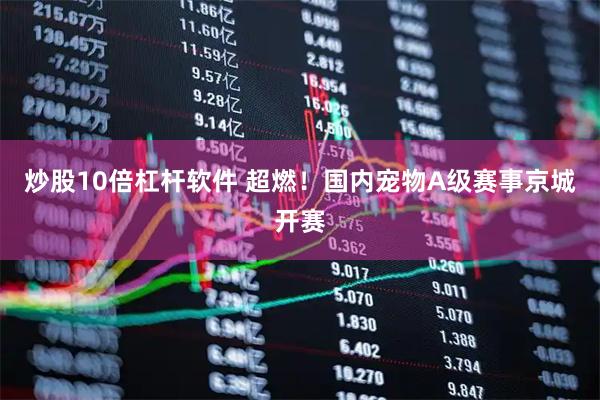 炒股10倍杠杆软件 超燃！国内宠物A级赛事京城开赛