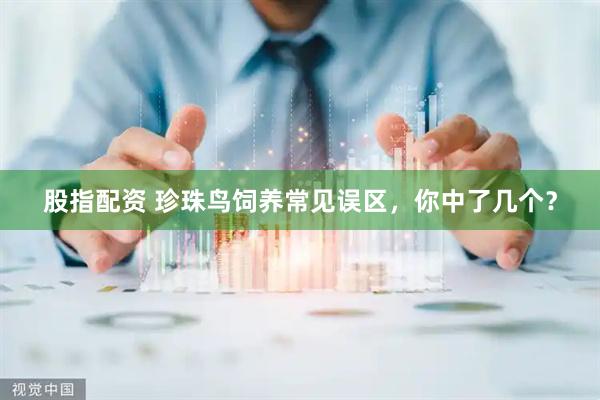股指配资 珍珠鸟饲养常见误区，你中了几个？